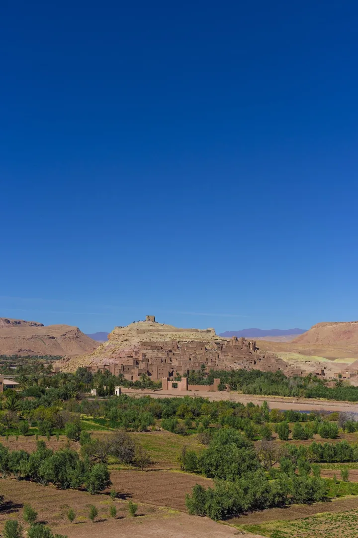 12-Day Grand Morocco Private Tour: Blue City, Sahara & Atlantic in Casablanca → Chefchaouen → Sahara → Essaouira — Experience