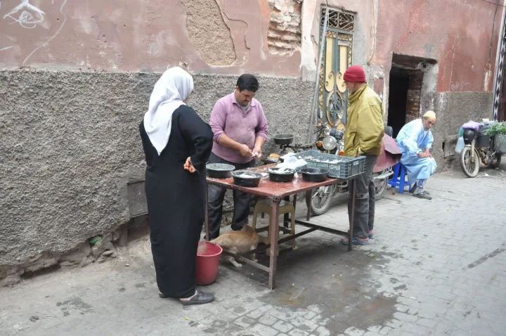 Marrakech Jewish Heritage Private Tour: Mellah & Memory — Experience