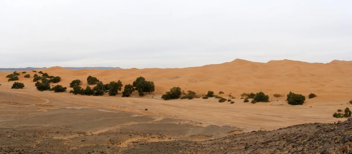 Panoramic view of the Erg Chebbi dunes