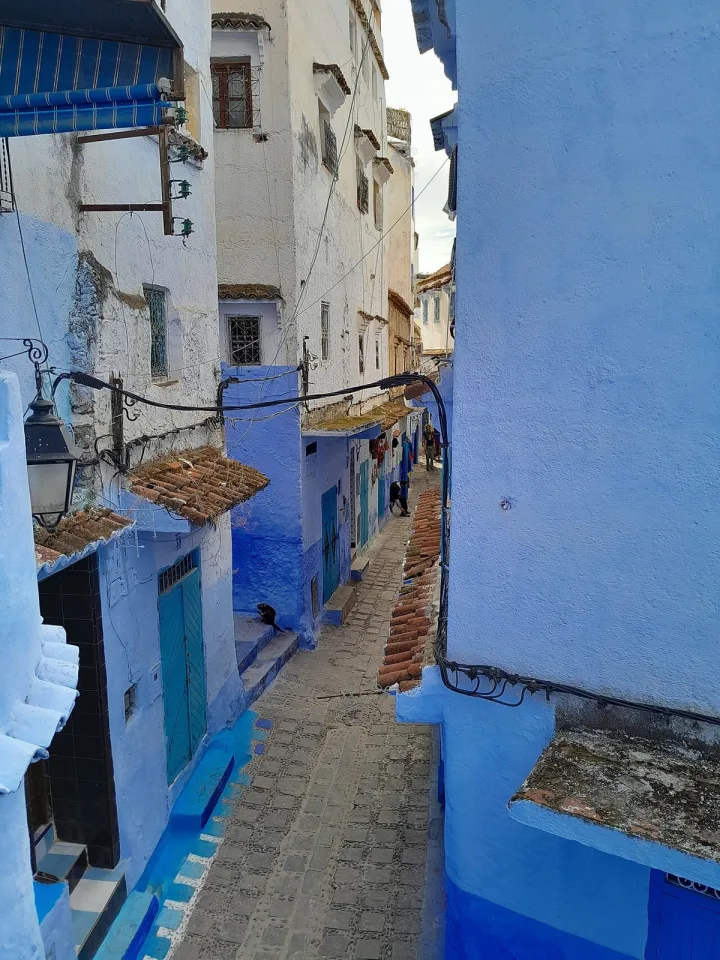 5-Day Private Northern Morocco: Fes, Chefchaouen & Rabat in Fes → Chefchaouen → Rabat → Casablanca — Experience