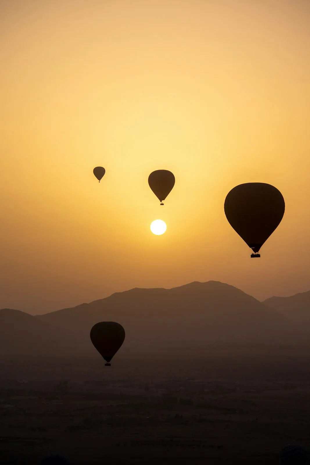 Balloons above the Marrakech countryside