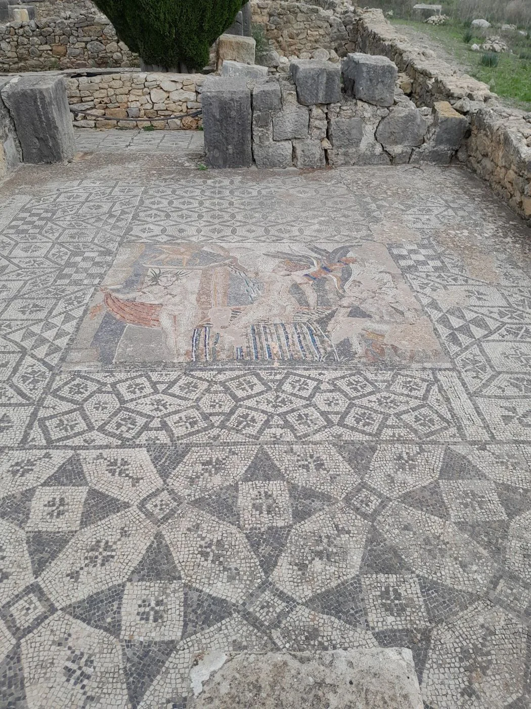 Preserved mosaic detail at Volubilis