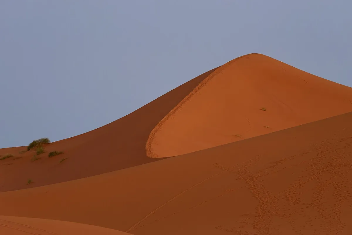 Sunrise light on the Merzouga dunes