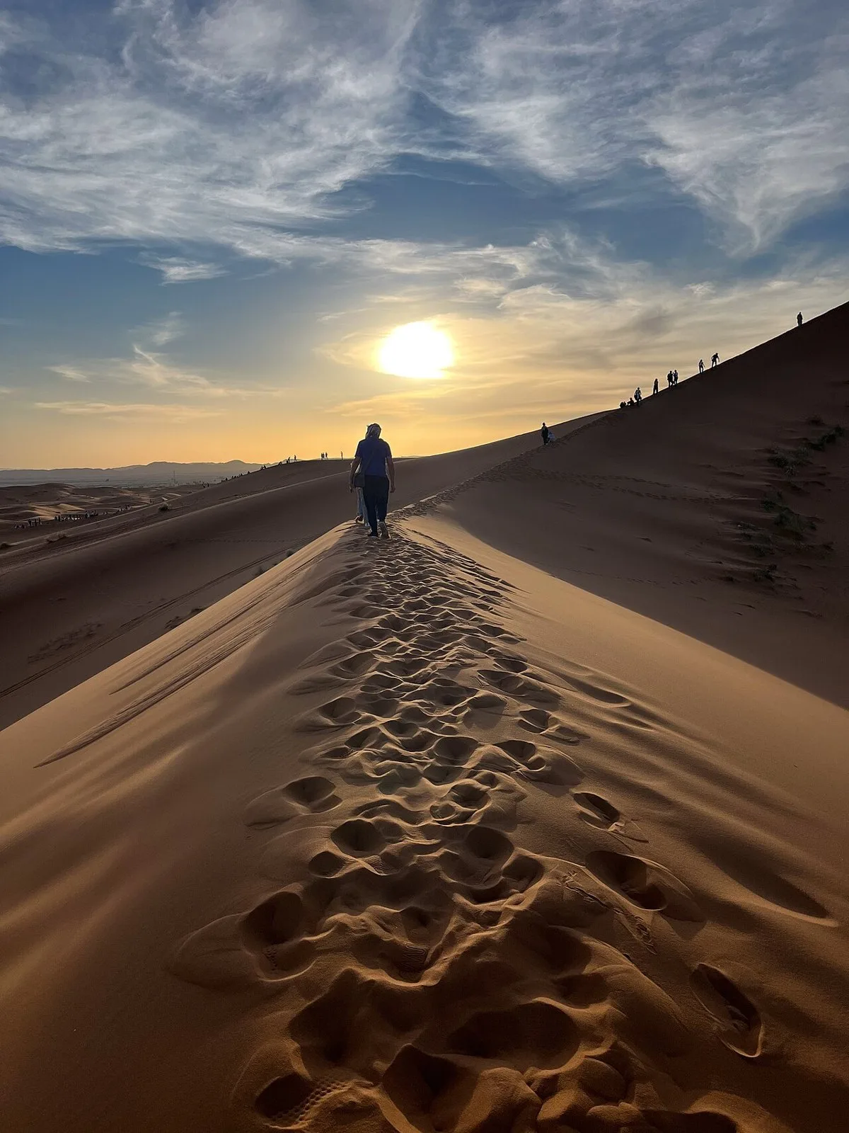 Dune ridge near Merzouga at sunset