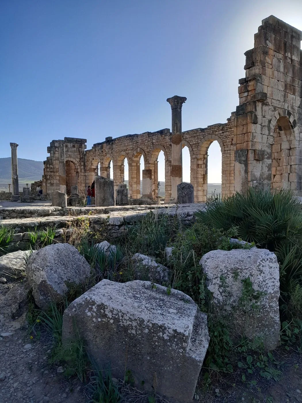 Roman archaeological remains at Volubilis