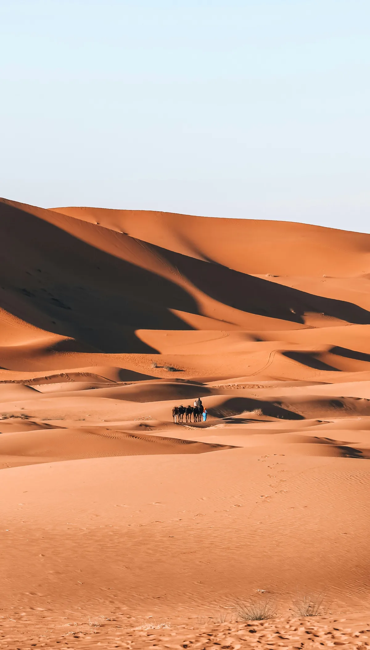 4 Days Marrakech to Merzouga Desert Journey in Marrakech → Ouarzate → Merzouga (Camp) →  Marrakech — Experience gallery
