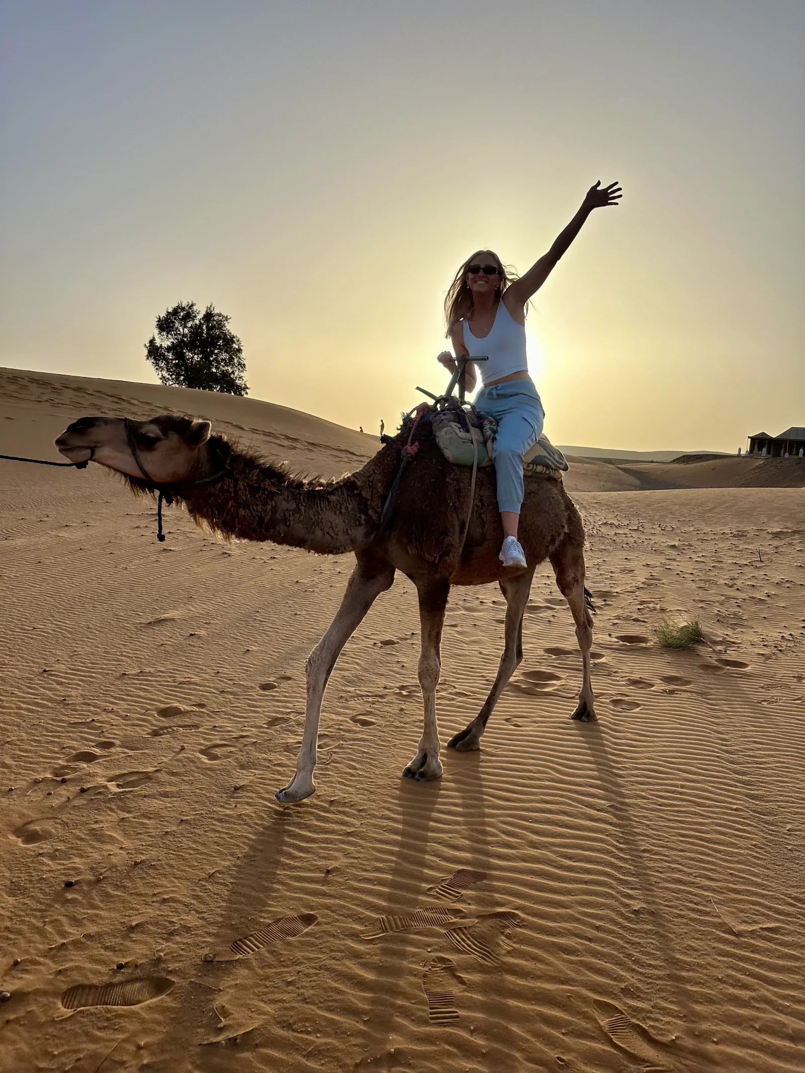 4 Days Marrakech to Merzouga Desert Journey in Marrakech → Ouarzate → Merzouga (Camp) →  Marrakech — Experience gallery